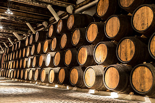Visita à Adega + Prova de Vinhos + Produtos Regionais para 2 | Adega Venâncio da Costa Lima, Quinta do Anjo (Palmela)