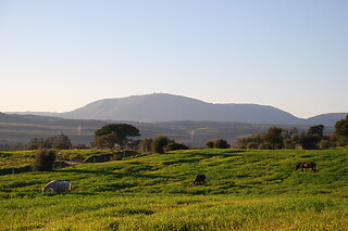 Picadeiro Quinta do Vale em Aveiras de Cima (Lisboa)