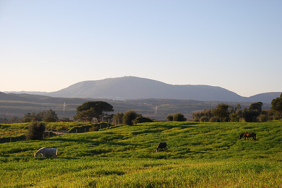 PICADEIRO QUINTA DO VALE - photo 3