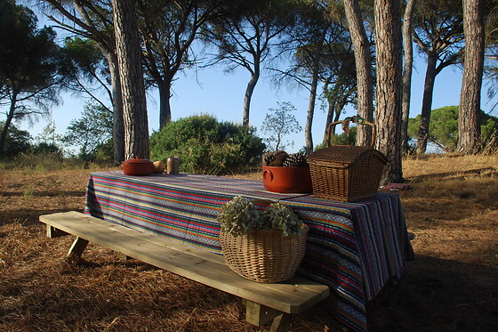 PICADEIRO QUINTA DO VALE - photo 6