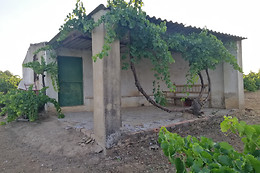 UVAS BAILEN