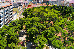 SERCOTEL PRINCIPE PAZ