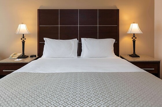 Online Booking EPS - photo 9