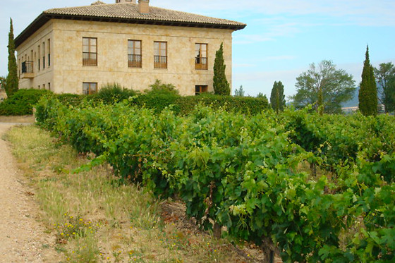 BODEGA TORRE DE OÑA - photo 1
