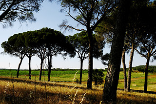 Visita à Herdade de Coelheiros (Arraiolos)