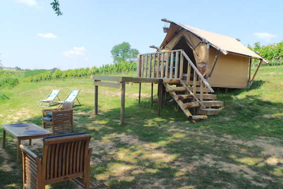 Château Tertre de Pezelin - photo 0