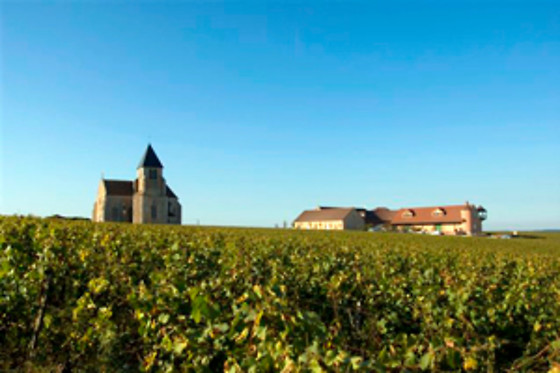 Domaine Brocard - photo 4