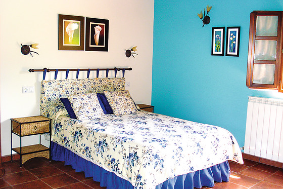 APARTAMENTOS RURALES EL MOLIN DE PANIZAL - photo 3