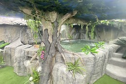 FUTUROTEL GRANADA SPA GARDEN