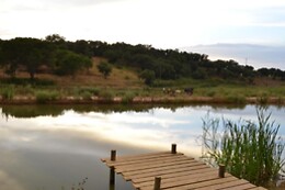 HERDADE DO MOINHO NOVO
