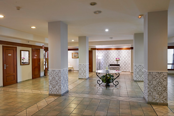HOTEL ALAIZ - photo 13