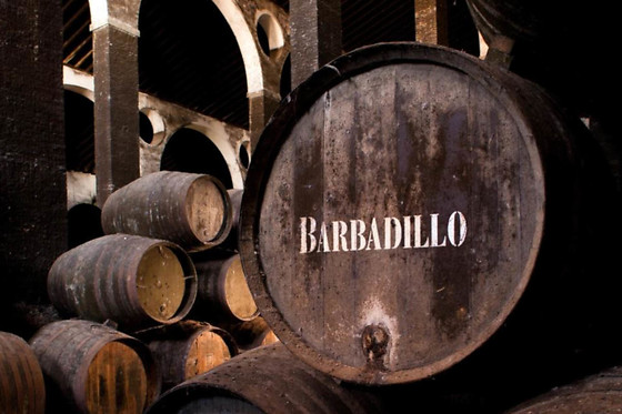 BODEGAS BARBADILLO - photo 0