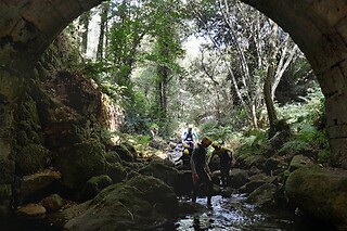 Caminhada aquática pelo Rio Gresso para 3 no Desafios - Desporto e Aventura em Sever do Vouga (Aveiro)