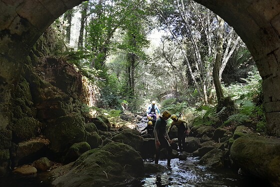Caminhada aquática pelo Rio Gresso para 3 no Desafios - Desporto e Aventura em Sever do Vouga (Aveiro)