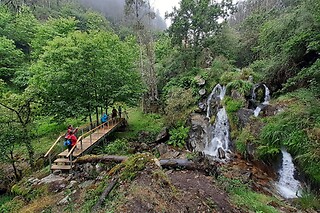 Caminhada Rota do Mirtilo para 1 no Desafios - Desporto e Aventura em Sever do Vouga (Aveiro)