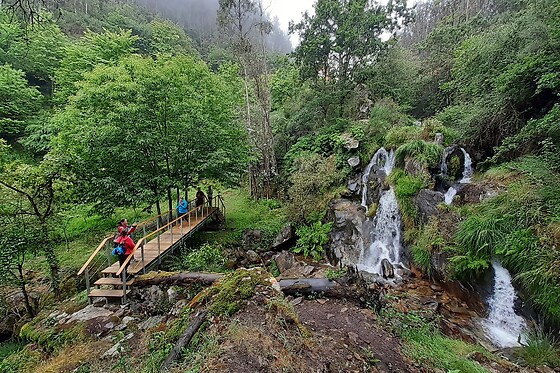 Caminhada Rota do Mirtilo para 1 no Desafios - Desporto e Aventura em Sever do Vouga (Aveiro)