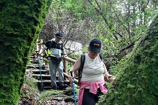 Caminhada Rota do Mirtilo para 1 no Desafios - Desporto e Aventura em Sever do Vouga (Aveiro)