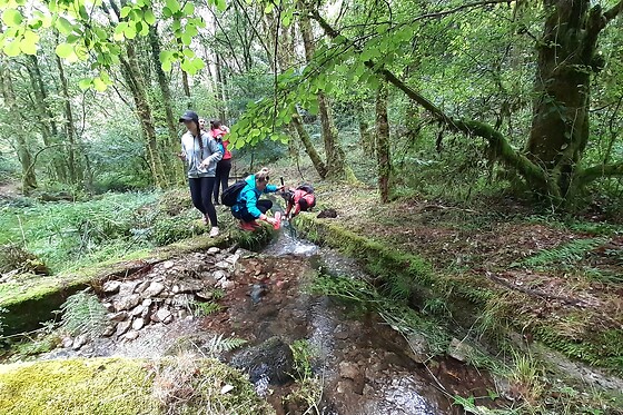 Caminhada Rota do Mirtilo para 1 no Desafios - Desporto e Aventura em Sever do Vouga (Aveiro)