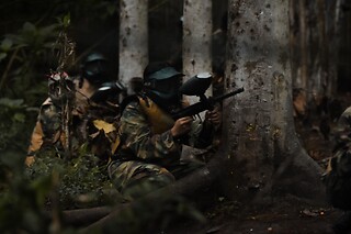Teste a pontaria no maior campo de Paintball em Portugal | Wild Life, Penacova | Até 8 pessoas