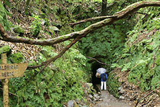 Caminhada pela Levada de Caldeirão Verde para 1 em Ilha Tours em Funchal (Madeira)