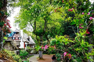 Caminhada pela Levada de Caldeirão Verde para 1 em Ilha Tours em Funchal (Madeira)