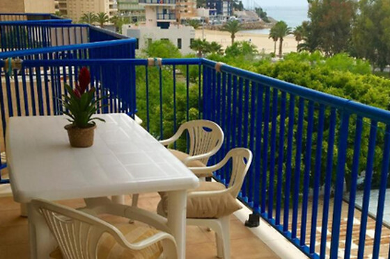 APARTAMENTOS PALMAVERA - photo 4