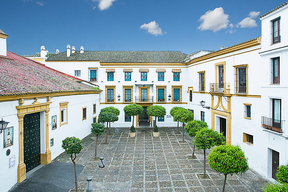 HOTEL HOSPES LAS CASAS DEL REY DE BAEZA - photo 0