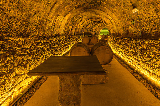 BODEGAS TRITIUM - photo 2