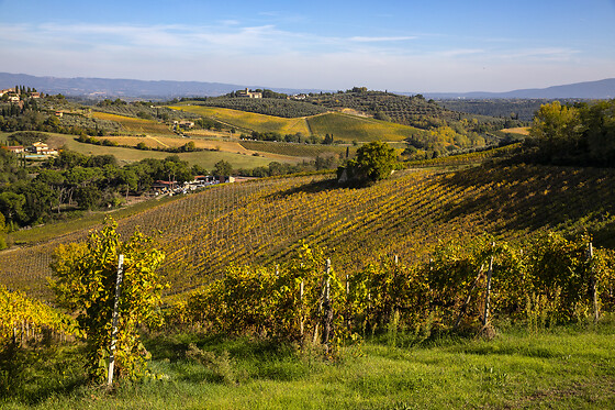 Azienda Agricola Palagetto - photo 4