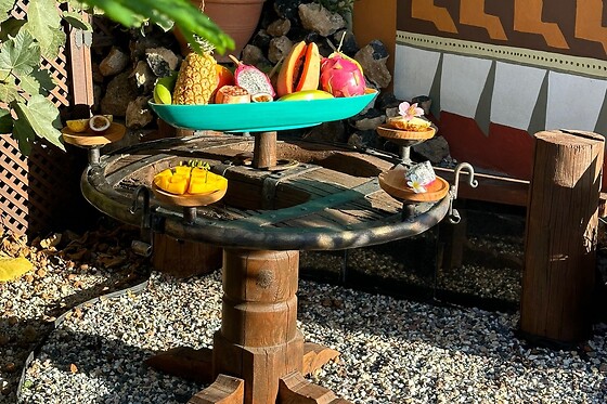 AFRIKAN KRISANT TENERIFE - photo 1