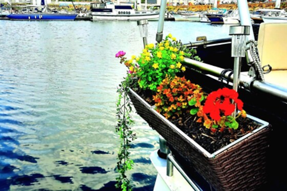 Bateau Le Zimon - photo 8