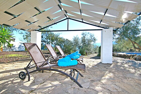 LOS ALGARROBALES - photo 1