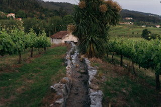 Estadia romântica com sabores regionais para 2 | Quinta da Corredoura - Guimarães