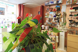 L'Esthetique Spa