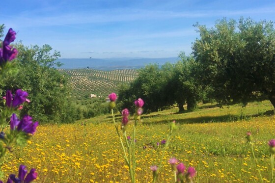 LA BIODIVERSA - photo 0