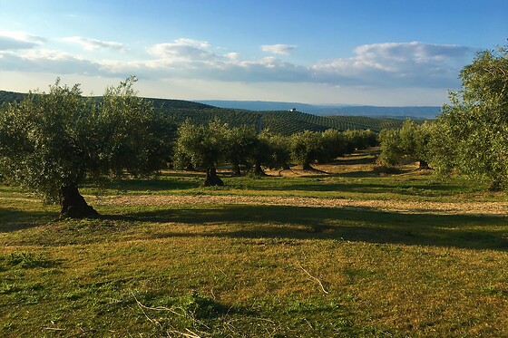 LA BIODIVERSA - photo 1