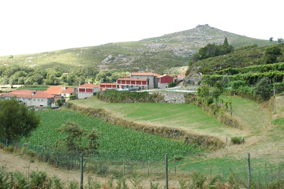 Uma noite em Casa de Montanha com pequeno-almoço para 2 em Casas de Campo Monte de Abades em Terras de Bouro (Braga)