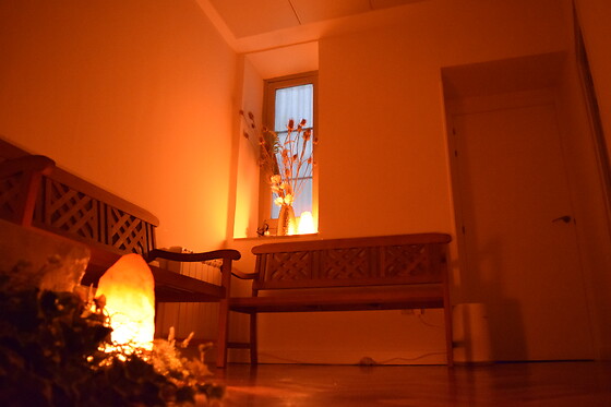SAMSARA WELLNESS STUDIO - photo 2
