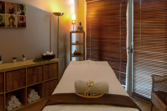 Spa Asian Villa - photo 1