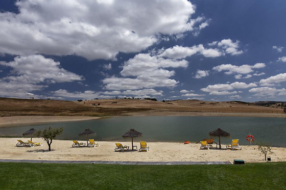 MONTE  VALE  - ORGANIC FARM - photo 8