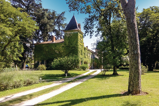 Château du Vergnet - photo 1