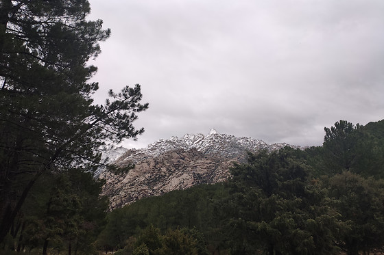 NATURANDA - photo 35