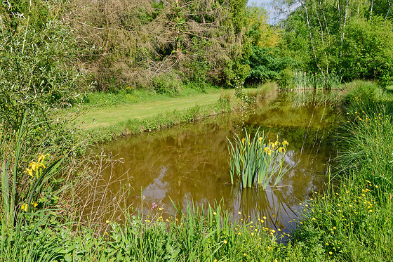 Etang des fontenils - photo 11