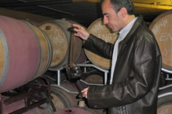 CELLERS BARONIA DEL MONTSANT - photo 11