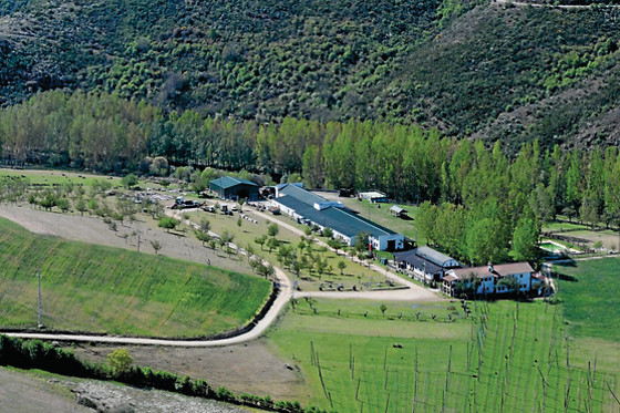 QUINTA DAS COVAS - photo 3