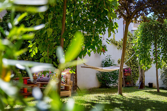 ECO-HOTEL DOÑA MAYOR - photo 2